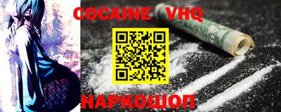 стаф Гай