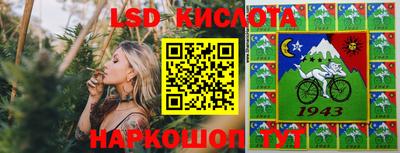 стаф Гай