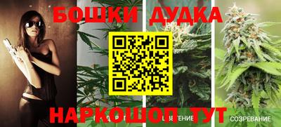 стаф Гай
