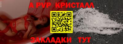 стаф Гай