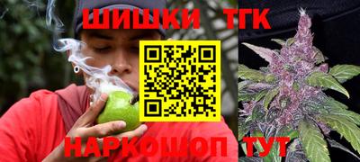стаф Гай