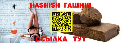 стаф Гай